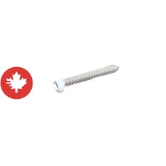 Vis, acier inoxydable, #8 x 2", blanc, 500/pqt