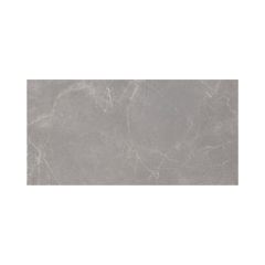 Tuile de porcelaine, plancher, Mood, gris foncé, 12" x 24"