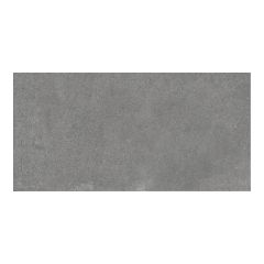Tuile de porcelaine, plancher, Sonder, anthracite, mat, 12" x 24"