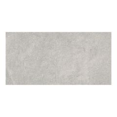 Tuile de porcelaine, plancher, Sonder, gris, mat, 12" x 24"