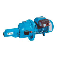 Jet Pump Convertible - Cast Iron - 3/4 HP