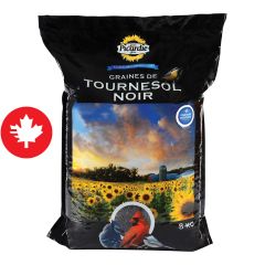 Black Oil Sunflower Seeds - 8 kg