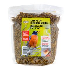 Black Soldier Fly Larvae - 500 g