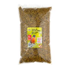 Black Soldier Fly Larvae - 2 kg