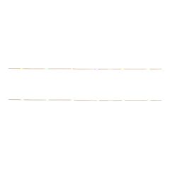 LED Light Strip - Warm White & Multicolor - USB - 100 lights