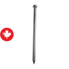 Clou de finition galvanisé à chaud, 2 1/2", 375/pqt
