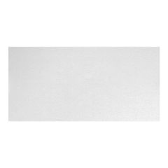 Ceiling Panel - 2' x 4' - 8/Pkg - Covers 64 sq. ft.