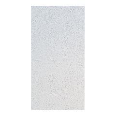 Ceiling Panel - 2' x 4' - 8/Pkg - Covers 64 sq. ft.