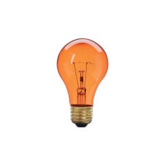 Ampoule fête, incandescente, A19, 60 W