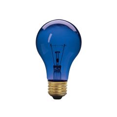 Ampoule fête, incandescente, A19, 60 W, bleu