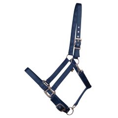 Poney halter