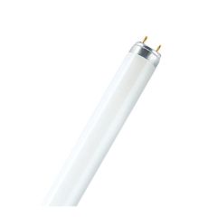 Fluorescent Tube - T8