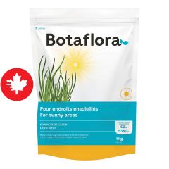 Sun mix lawn seeds