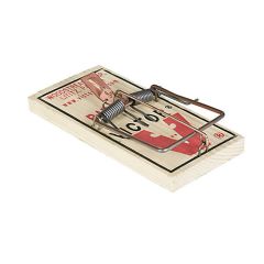 Piège à souris, base en bois, ressort métallique, 2/pqt