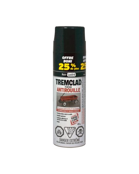 Peinture antirouille en aérosol , noir lustré, 425 g
