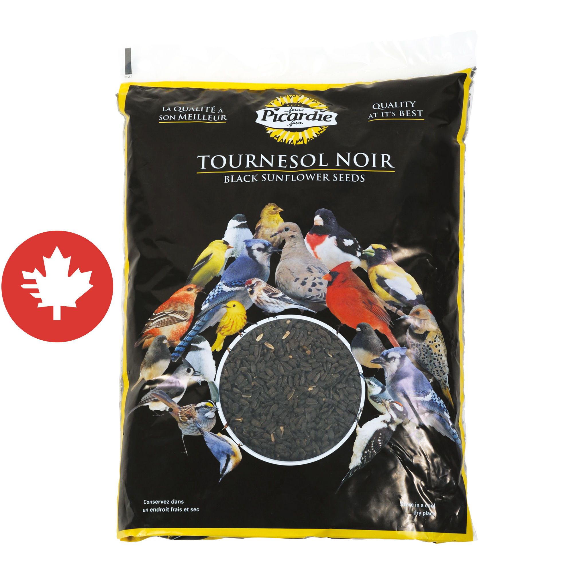 Graines De Tournesol Rayées Pour Oiseaux Sauvages – Lot De 2 Sacs De 3 Kg (6 Kg Total) – Nourriture Naturelle Pour Jardin - 11