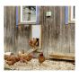 KERBL Mechanical Kit for the Automatic Chicken Coop Sliding Door