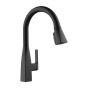 Xander Single-Handle Pull-Down Kitchen Faucet - Black