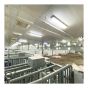 Panneau en PVC Trusscore Wall&CeilingBoard, blanc, 1/2" x 16" x 10'