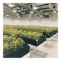 Panneau en PVC Trusscore Wall&CeilingBoard, blanc, 1/2" x 16" x 10'