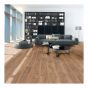 Laminate Flooring - AC4 - 8 mm - Euro - Coblence Oak - 8" x 51"