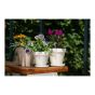 Pot standard en granit, blanc, 12 cm