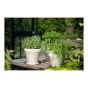 Pot standard en granit, blanc, 12 cm