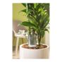 Réservoir d'eau décoratif, style Nelly, en plastique, 16 cm, gris