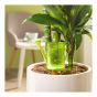 Réservoir d'eau décoratif, style Nelly, en plastique, 16 cm, vert