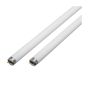 Fluorescent Tube - T8 - Daylight - 32 W - 48" - 2/Pkg