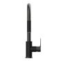 Stainless Steel Kitchen Faucet - Black