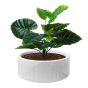 Resin Bowl Planter-  Gavin - 15"
