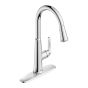Pull-Down Kitchen Faucet – Eastcourt - Black