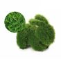 Turf Topiary - Rabbit – Green - 12"