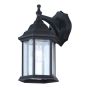 DANE Outdoor LED Wall Light, Clear Glass, Black, 6-1/4-in x 12-in x 8-in