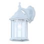 DANE Outdoor LED Wall Light, Clear Glass, White, 6-1/4-in x 12-in x 8-in
