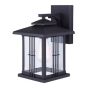 Calipsio Outdoor Wall Light - 1 Light - Black Finish