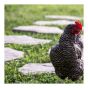 Ardesia Concrete Slab, Charcoal