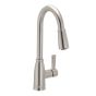 Lilibeth Kitchen Faucet - Pull-Down Spray - Spot Resist Stainless