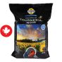 Black Oil Sunflower Seeds - 8 kg