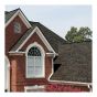 TruDefinition® Duration® Shingles - Black Sable