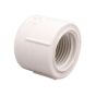 Threaded Female Cap - 3/4" - White