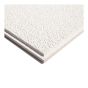 Ceiling Tile - Alpine - 2' x 2' - 16/Pkg - Covers 64 sq. ft.