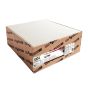 Ceiling Tile - Alpine - 2' x 2' - 16/Pkg - Covers 64 sq. ft.
