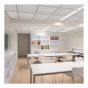 Ceiling Tile - Alpine - 2' x 2' - 16/Pkg - Covers 64 sq. ft.