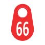 Neck tag #66