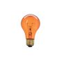 Ampoule fête, incandescente, A19, 60 W