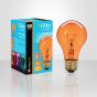 Ampoule fête, incandescente, A19, 60 W
