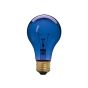 Ampoule fête, incandescente, A19, 60 W, bleu