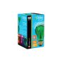 Ampoule fête, incandescente, A19, 60 W, vert